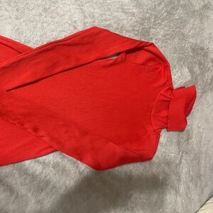 Turtle Neck Fitted Dress
